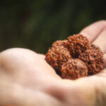 Why Should You Consider Buying a Certified Rudraksha in Sahakara Nagar? A Deep Dive Into Authenticity, Benefits, and Spiritual Vibes Certified Rudraksha in Sahakara Nagar