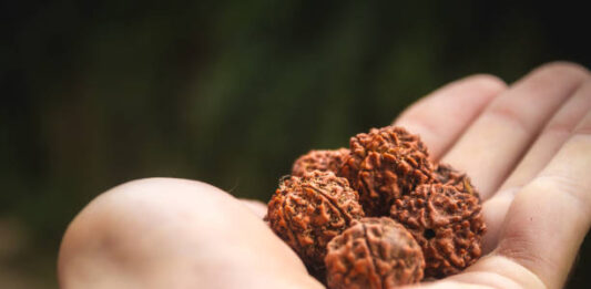 Why Should You Consider Buying a Certified Rudraksha in Sahakara Nagar? A Deep Dive Into Authenticity, Benefits, and Spiritual Vibes Certified Rudraksha in Sahakara Nagar