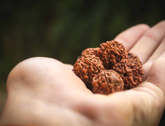 Why Should You Consider Buying a Certified Rudraksha in Sahakara Nagar? A Deep Dive Into Authenticity, Benefits, and Spiritual Vibes Certified Rudraksha in Sahakara Nagar