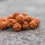 The 14 Mukhi Rudraksha Bannerghatta Road Really Worth the Hype? 14 Mukhi Rudraksha Bannerghatta Road
