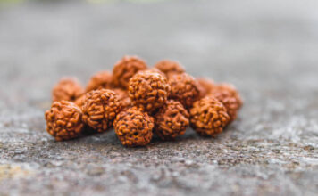 The 14 Mukhi Rudraksha Bannerghatta Road Really Worth the Hype? 14 Mukhi Rudraksha Bannerghatta Road