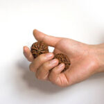 Where Can You Find the Best Certified Rudraksha Bannerghatta Road Without Getting Scammed? Certified Rudraksha Bannerghatta Road