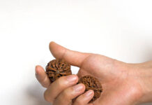 Where Can You Find the Best Certified Rudraksha Bannerghatta Road Without Getting Scammed? Certified Rudraksha Bannerghatta Road