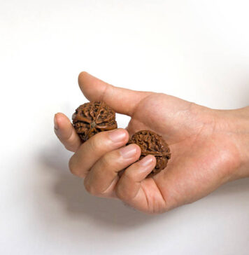 Where Can You Find the Best Certified Rudraksha Bannerghatta Road Without Getting Scammed? Certified Rudraksha Bannerghatta Road