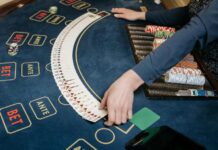 lotus365 app Feels Less Like a Betting Platform and More Like a Daily Habit lotus365 app