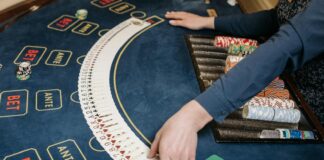 lotus365 app Feels Less Like a Betting Platform and More Like a Daily Habit lotus365 app