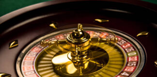 SkyExchange Login ID Guide – Easy Steps for Beginners skyexchange login id