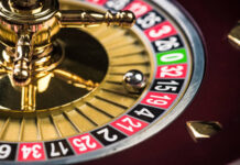 11Xplay Pro: Why Experienced Indian Bettors Are Choosing This Platform 11xplay