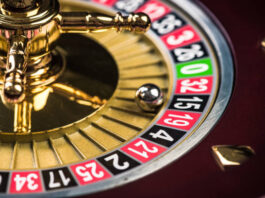 11Xplay Pro: Why Experienced Indian Bettors Are Choosing This Platform 11xplay